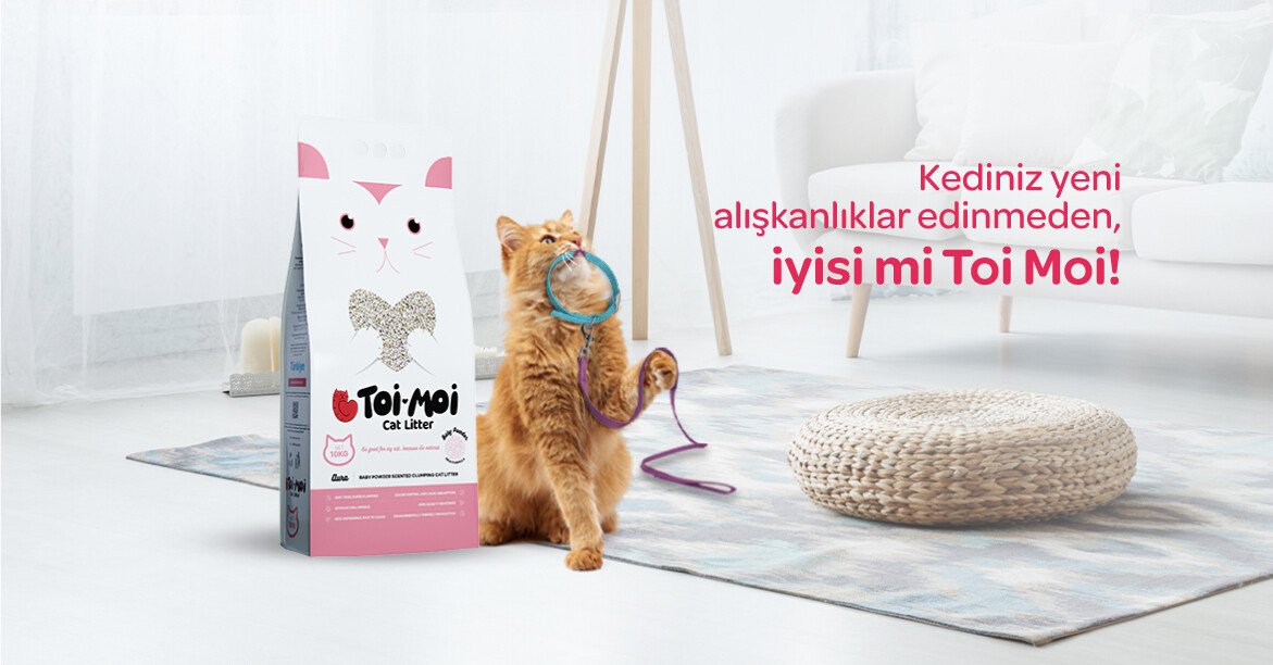 TOİ MOİ BEBEK PUDRASI KOKULU KEDİ KUMU