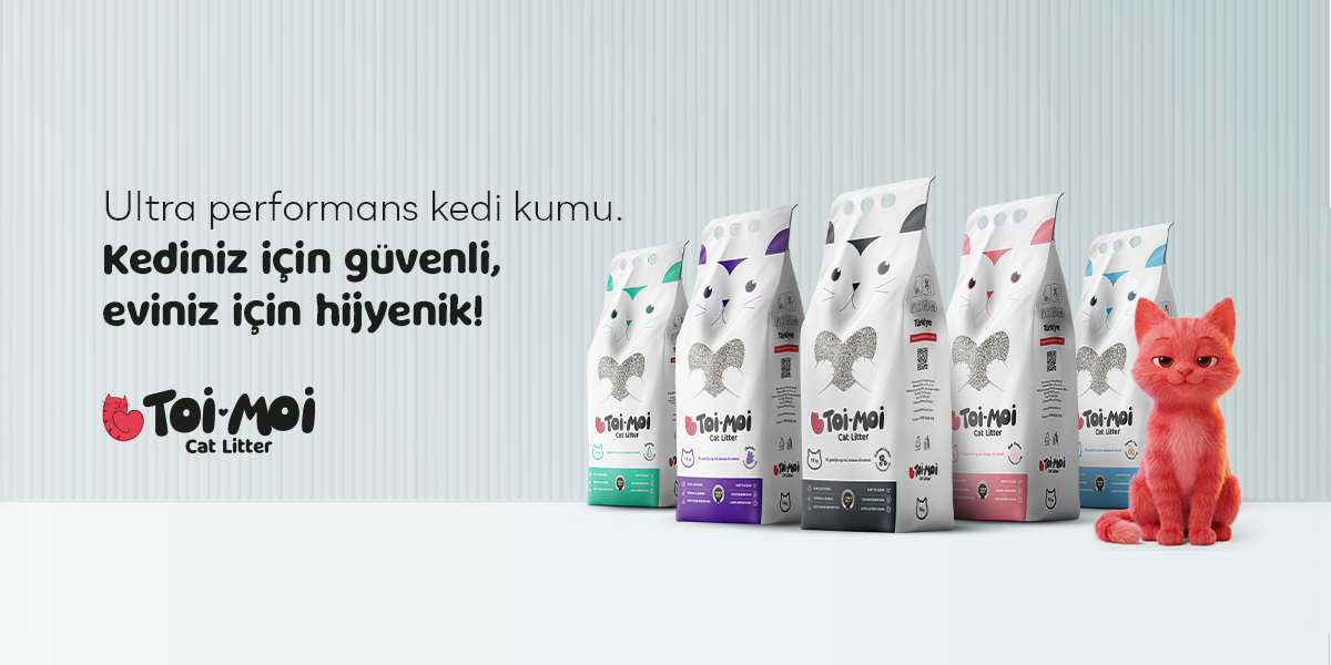 Toi Moi Kedi Kumu