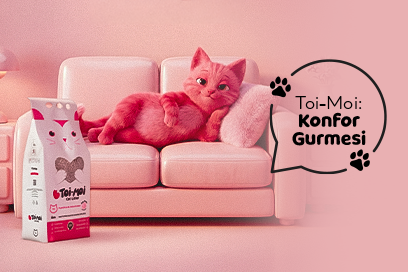 Toi- Moi- Konfor Gurmesi