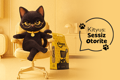 Kityus- Sessiz Otorite