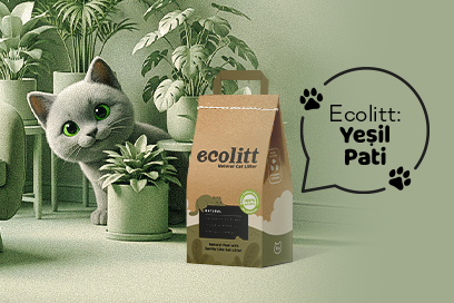 Ecolitt– Yeşil Pati