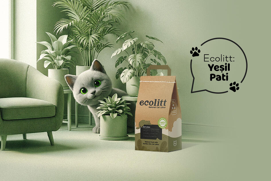 Ecolitt– Yeşil Pati