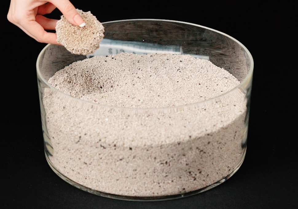 Kedi Kumunun Dağılmaması İçin 5 Yöntem