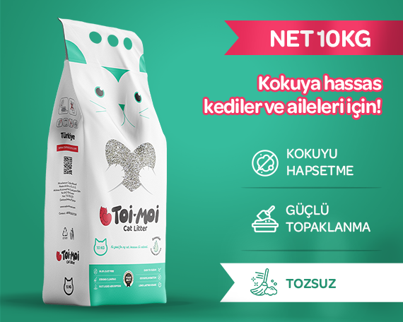 Kokuya Hassas Topaklanan Tozsuz Kokusuz Bentonit Kedi Kumu 10kg - 1