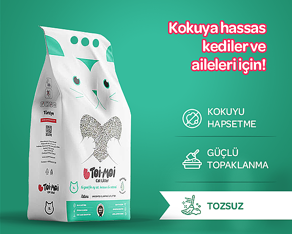Kokuya Hassas Topaklanan Tozsuz Kokusuz Bentonit Kedi Kumu 5lt - 1